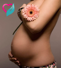 pregnancy