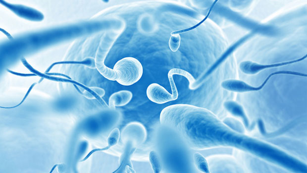 improve sperm coutn