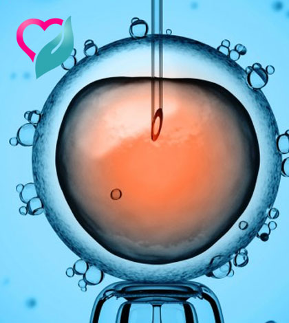 ivf