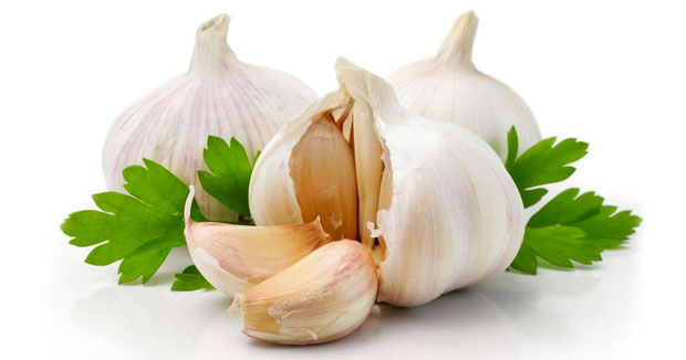 garlic