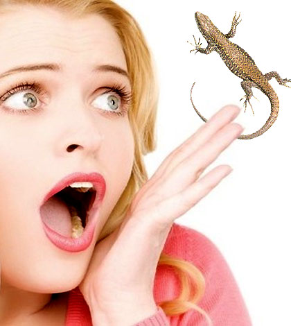 avoid lizards