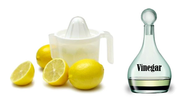 lemon vinegar