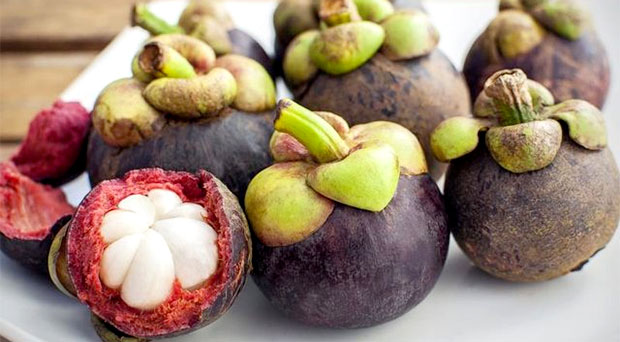 Mangosteen