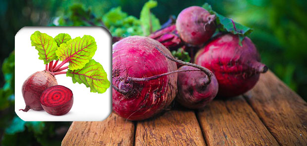 beetroot