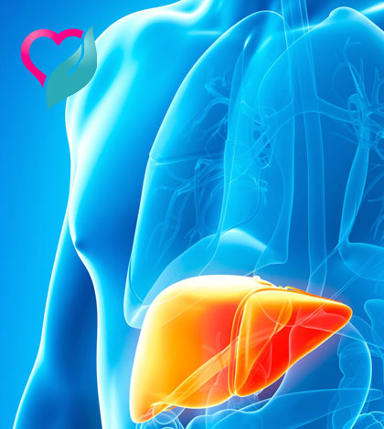 Signs of Liver Cancer