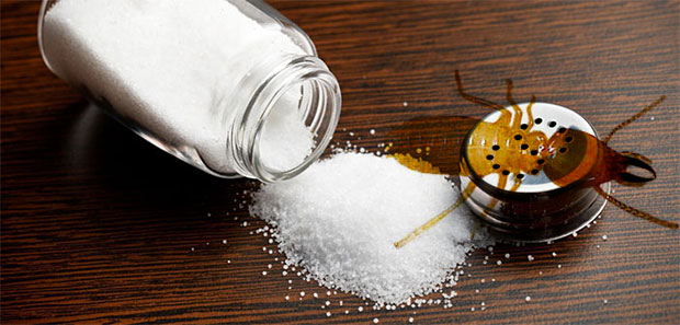 Granulated Salt forTermites