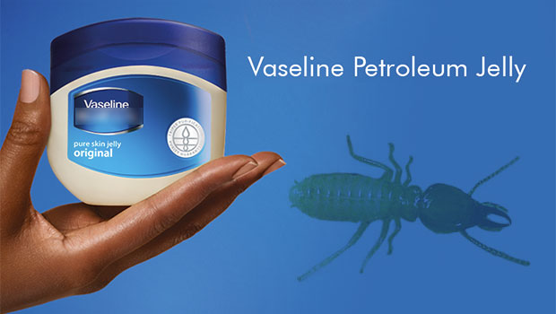Petroleum jelly for termites